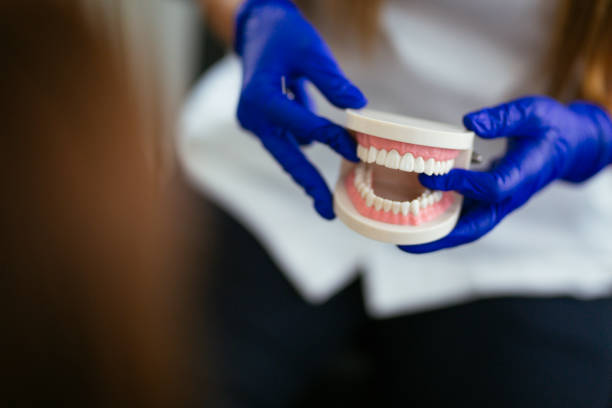 Best Wisdom Tooth Removal  in Erie, PA